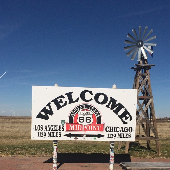 texascitycat